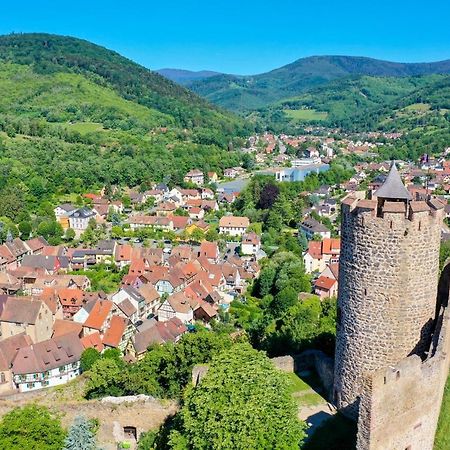 Les Chambres De La Weiss Kaysersberg-Vignoble Exterior foto